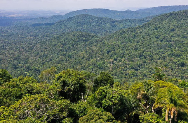 Instituto Pro Bono e ELAW promovem seminário sobre direito ambiental e advocacia indígena